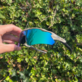 Taylor - Visions Eyewear