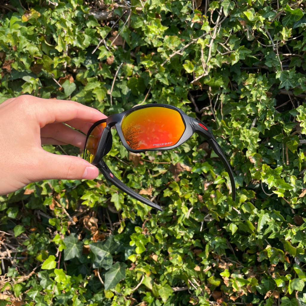 Felix - Visions Eyewear