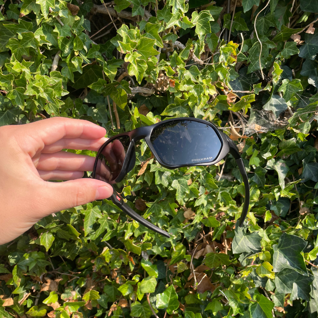 Franklin - Visions Eyewear